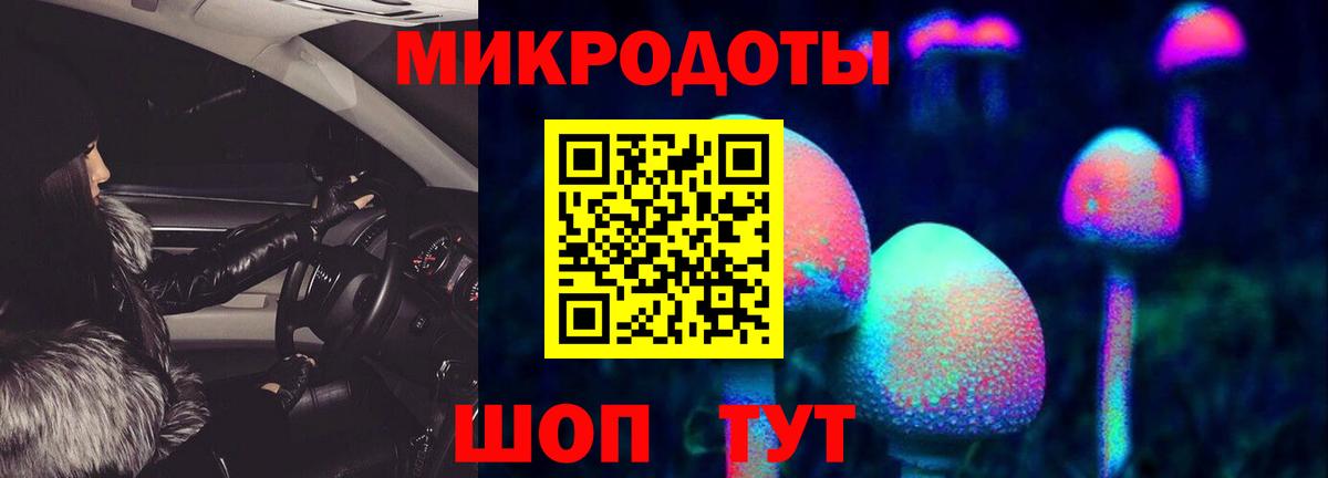Псилоцибиновые грибы Psilocybine cubensis  Вход с VPN  Черемхово 